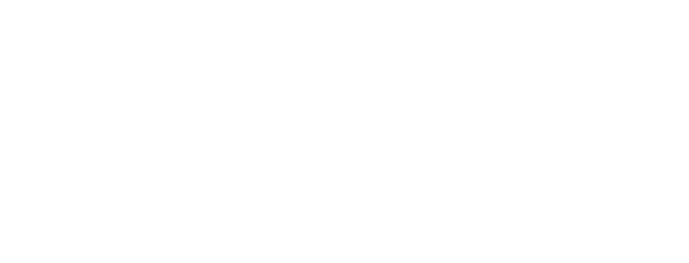PUNCH LINE 95 / MUSCLE 95